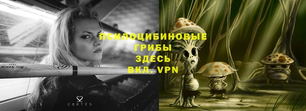mdma Богородицк