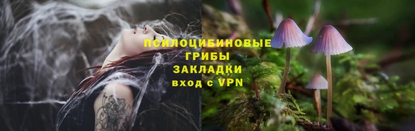 дмт Верея