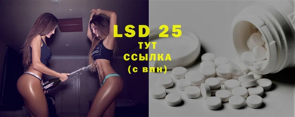 spice Богородск