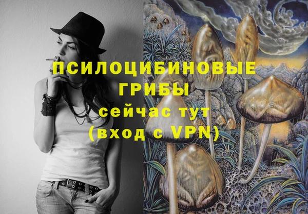 дмт Верея