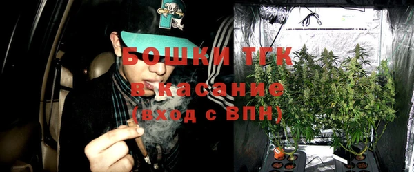 дмт Верея