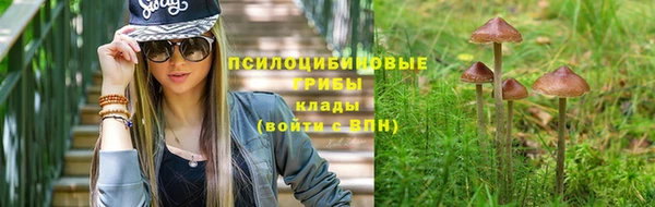 дмт Верея