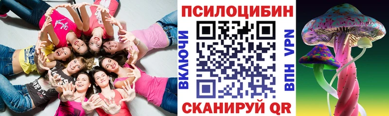 МЕГА ссылка  Хабаровск  Галлюциногенные грибы Psilocybine cubensis 