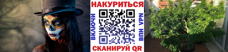 Канабис планчик  кракен рабочий сайт  Хабаровск 
